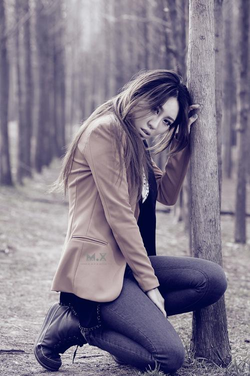 草莓APP功能展示界面